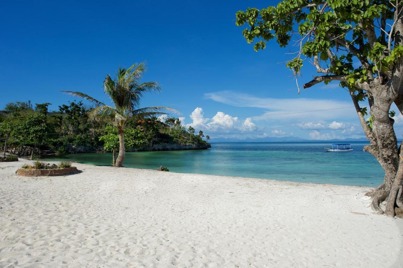 Thresher Cove Dive Resort เกาะมาลาปัสกัว ห้อง รูปภาพ